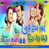 Tujhe Dekh Ke Dil Mera Dole Old Is Gold Hindi Love Song Hard Vibration Bass Mix Dileep BaBu Hi TeCh 